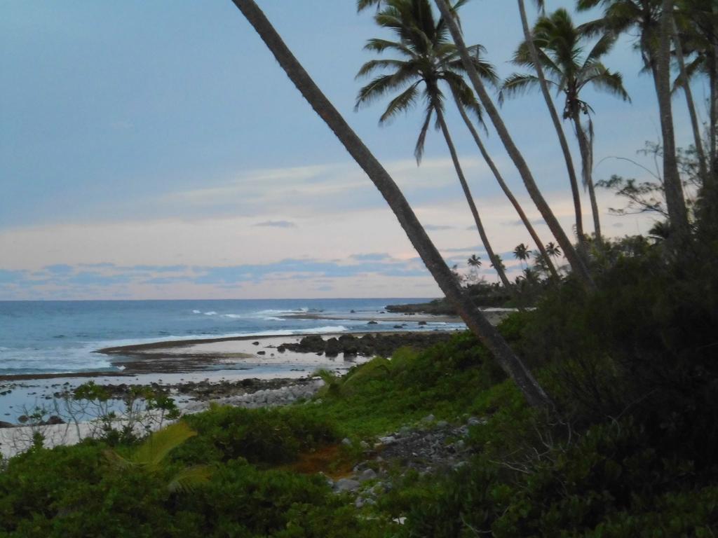 Herons Reef Holiday Apartments Rarotonga Eksteriør bilde
