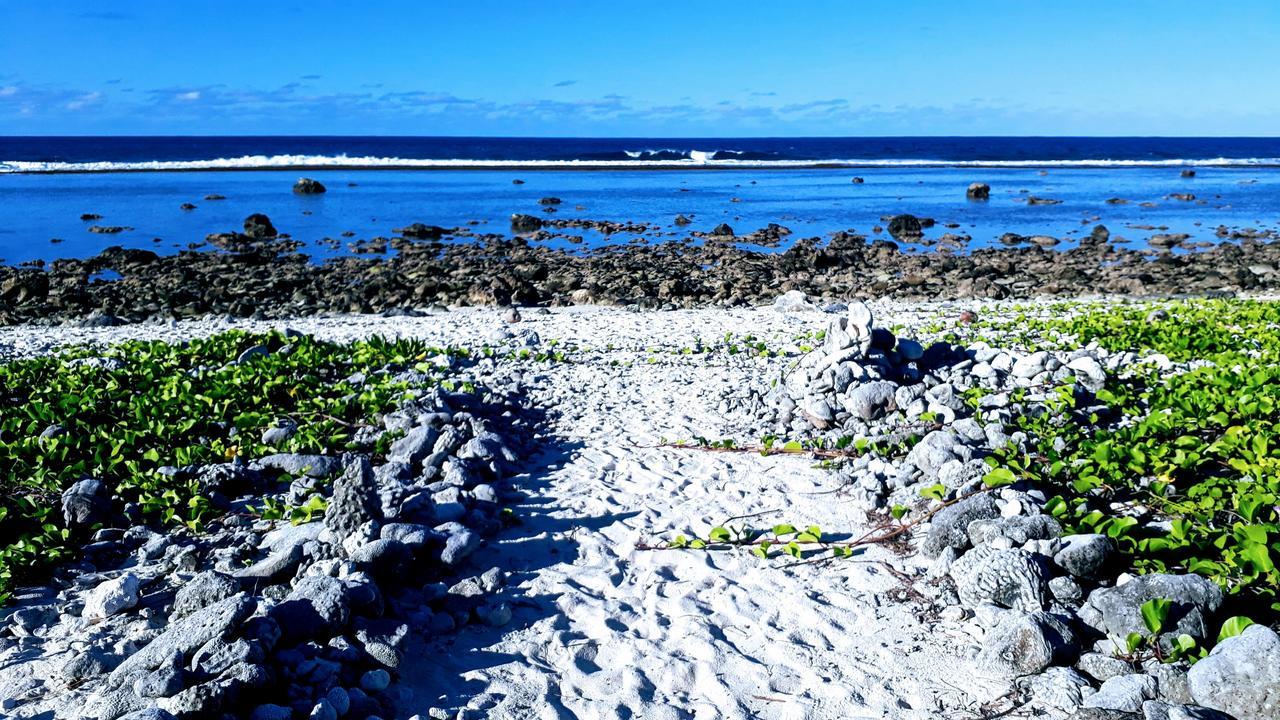 Herons Reef Holiday Apartments Rarotonga Eksteriør bilde
